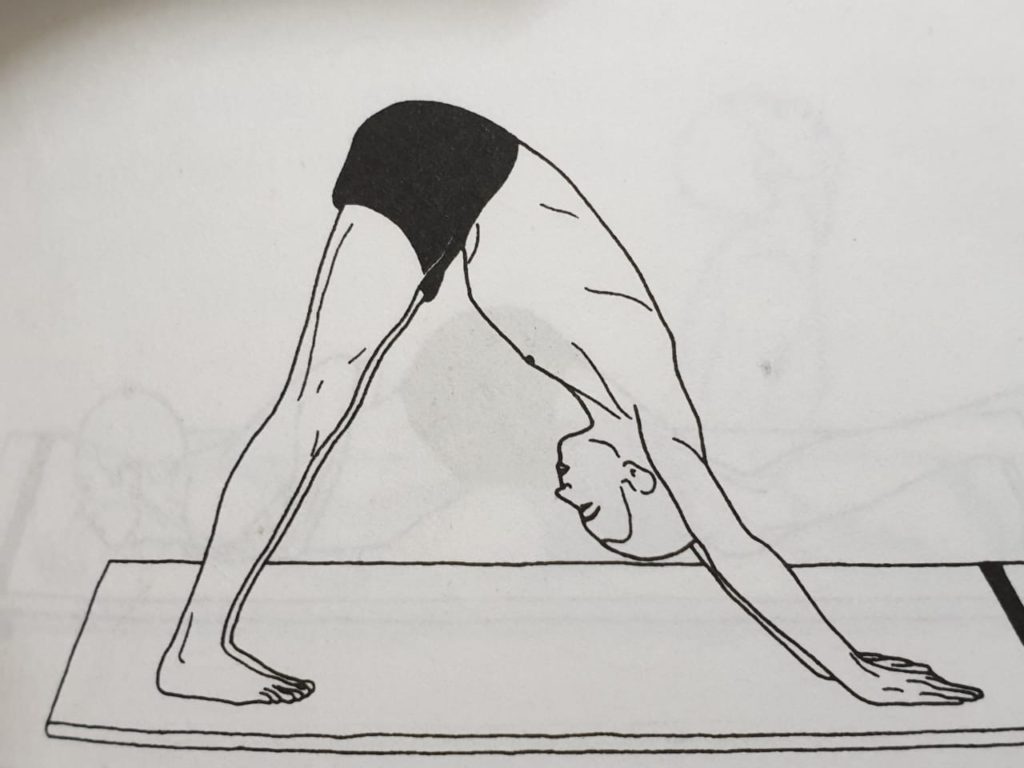 Mastering Adho Mukha Svanasana: Your Comprehensive Asana Guide — Nambin Yoga